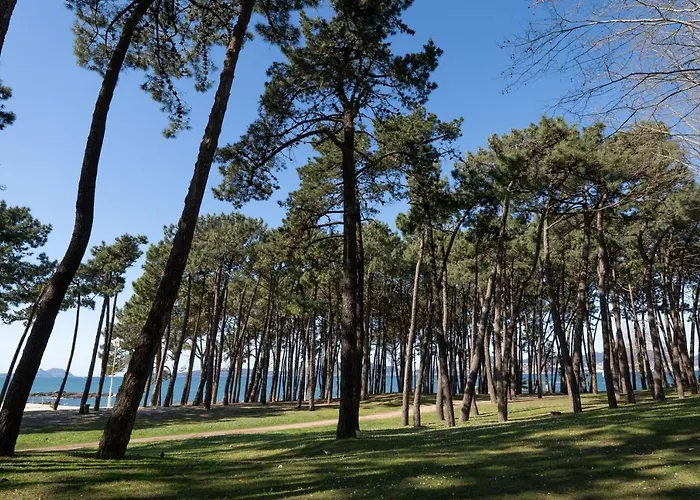 Samil Playa Sur Appartement